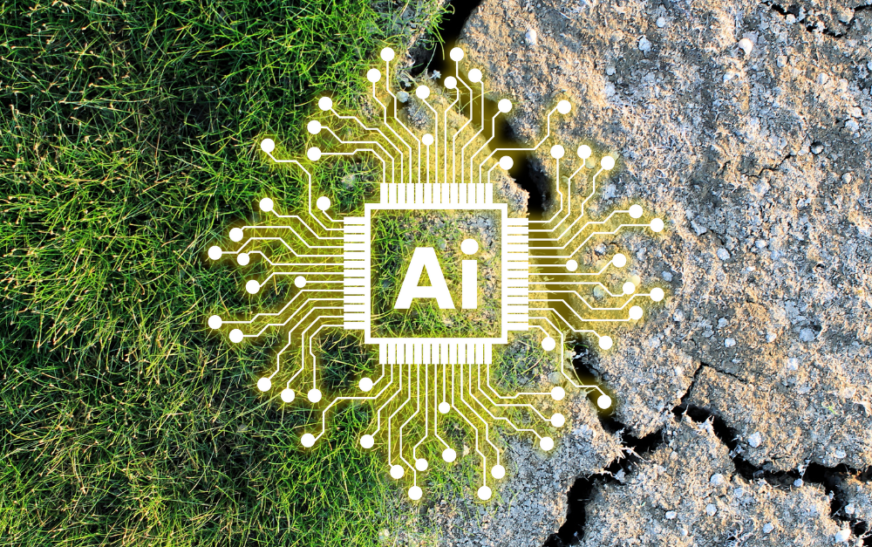 The Environmental Cost of Training AI Models: What You’re Not Being Told