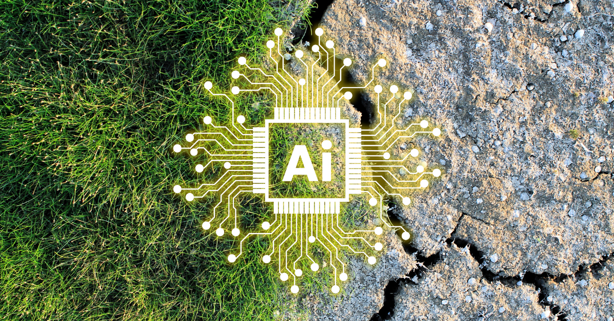 The Environmental Cost of Training AI Models: What You’re Not Being Told