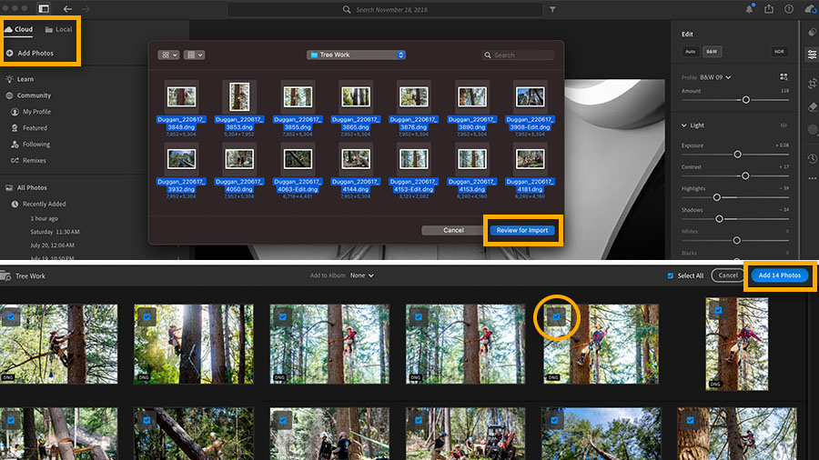 How I Organize My Photos: A Lightroom Workflow Guide